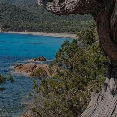 Duplex Vue Avec Clim Wifi Dans Piscine A Pied *