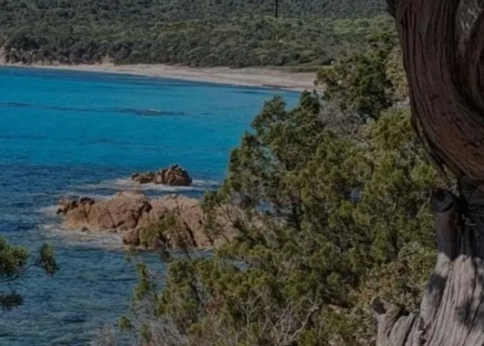Duplex Vue Avec Clim Wifi Dans Piscine A Pied *